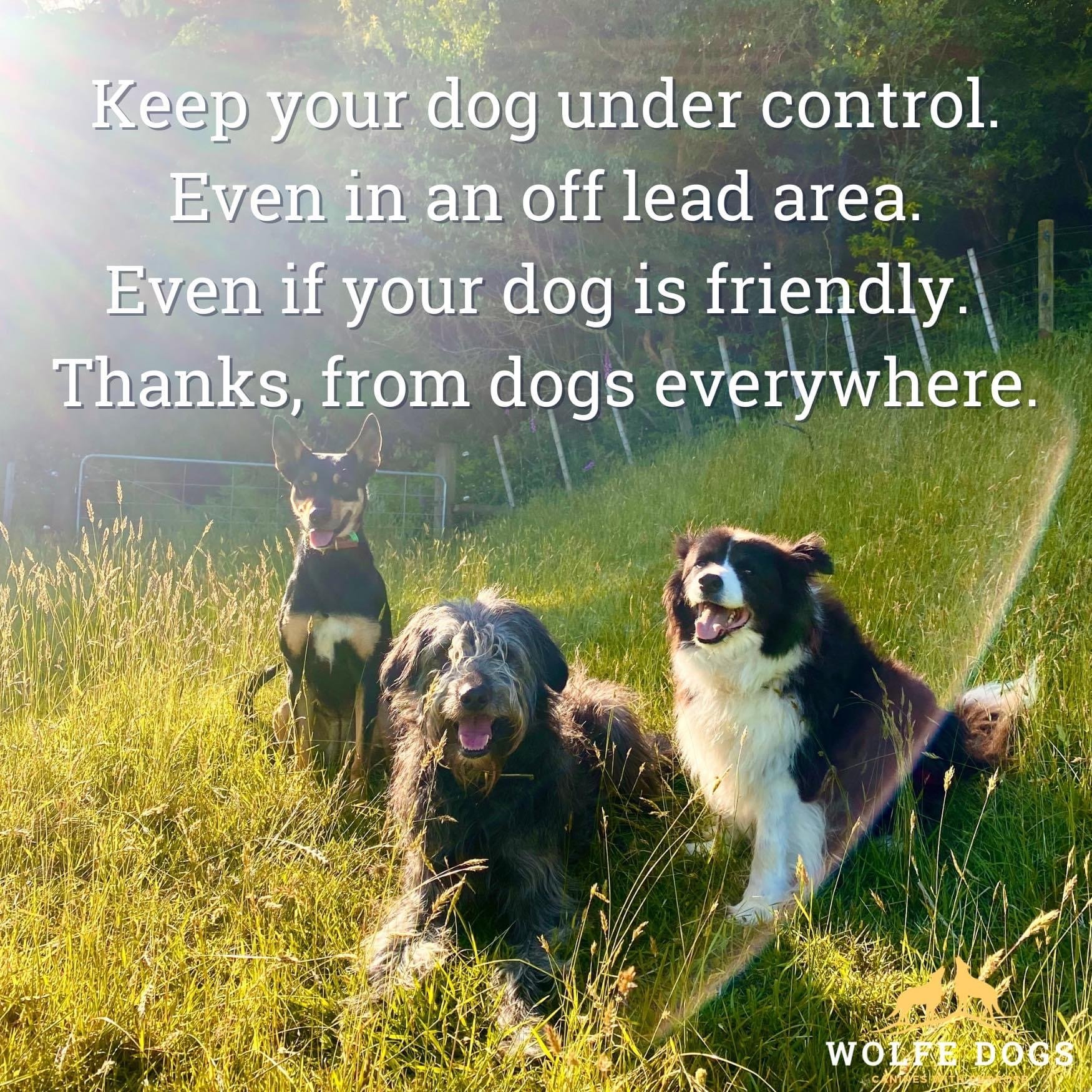 Keep your dog under control, even in off leash areas