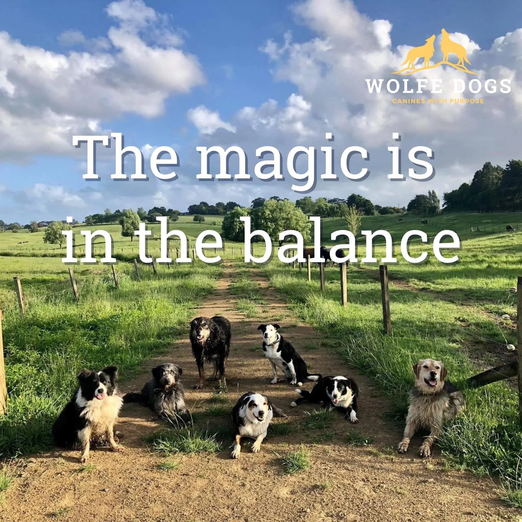 The Magic is in the Balance