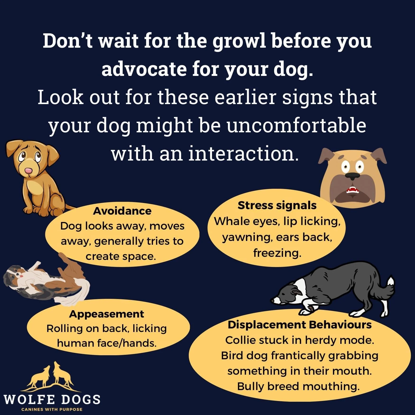 Don’t wait for the growl!