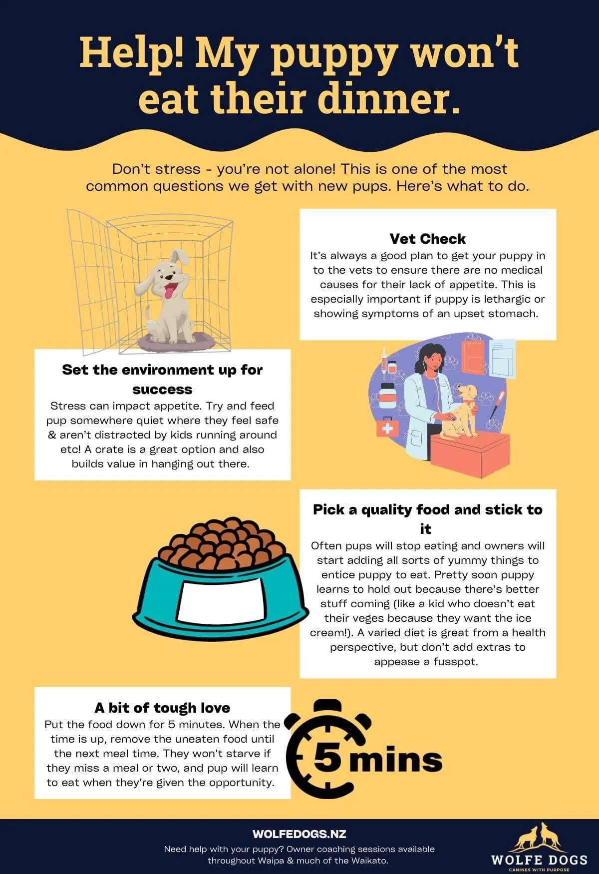 Help! My puppy won’t eat their dinner.