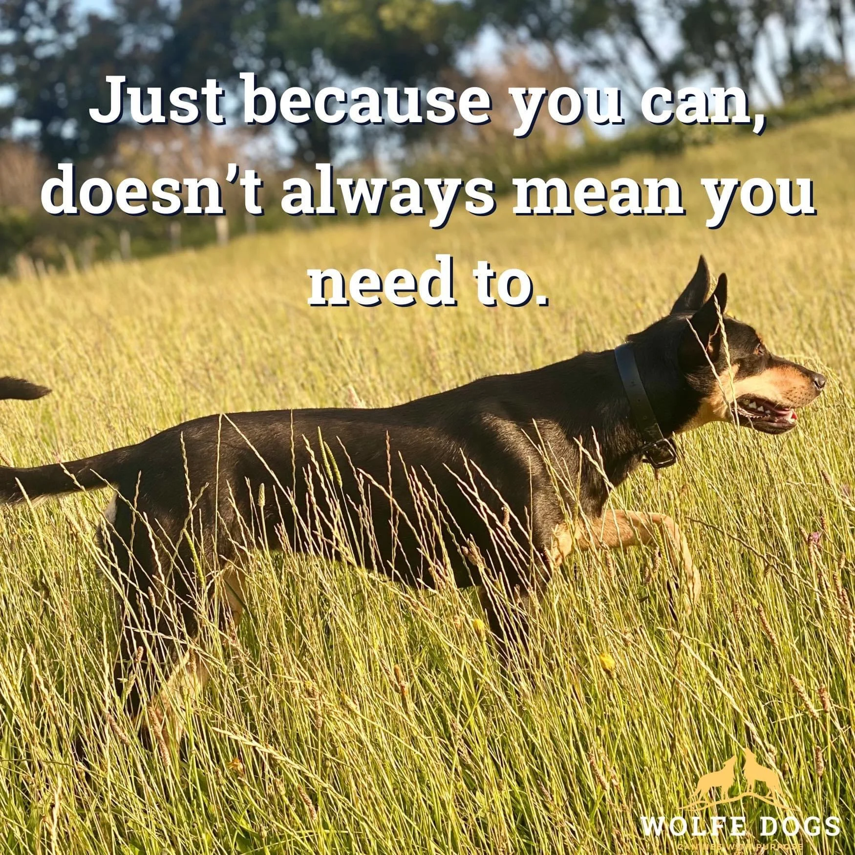 Just because we can, doesn’t always mean we should