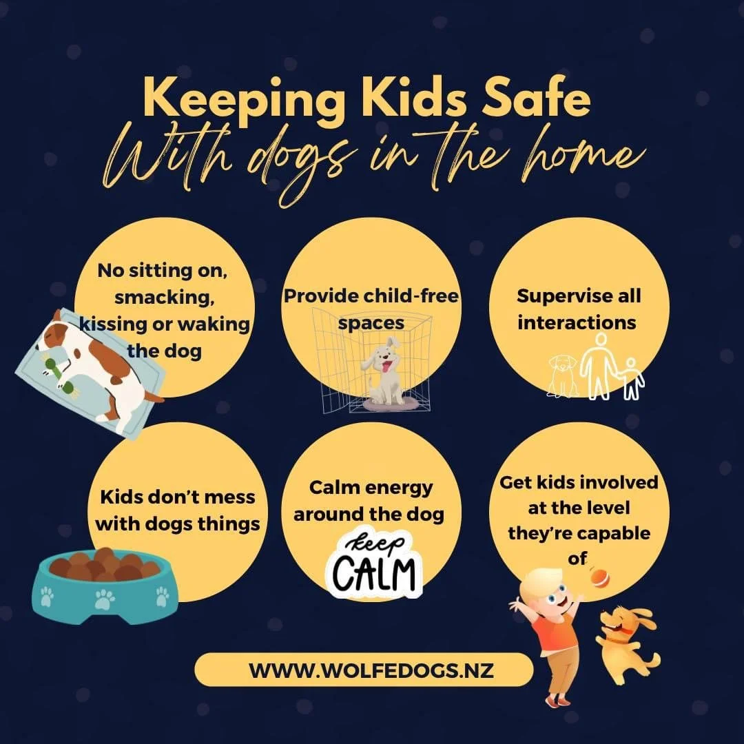 Keeping kids safe with dogs in the home