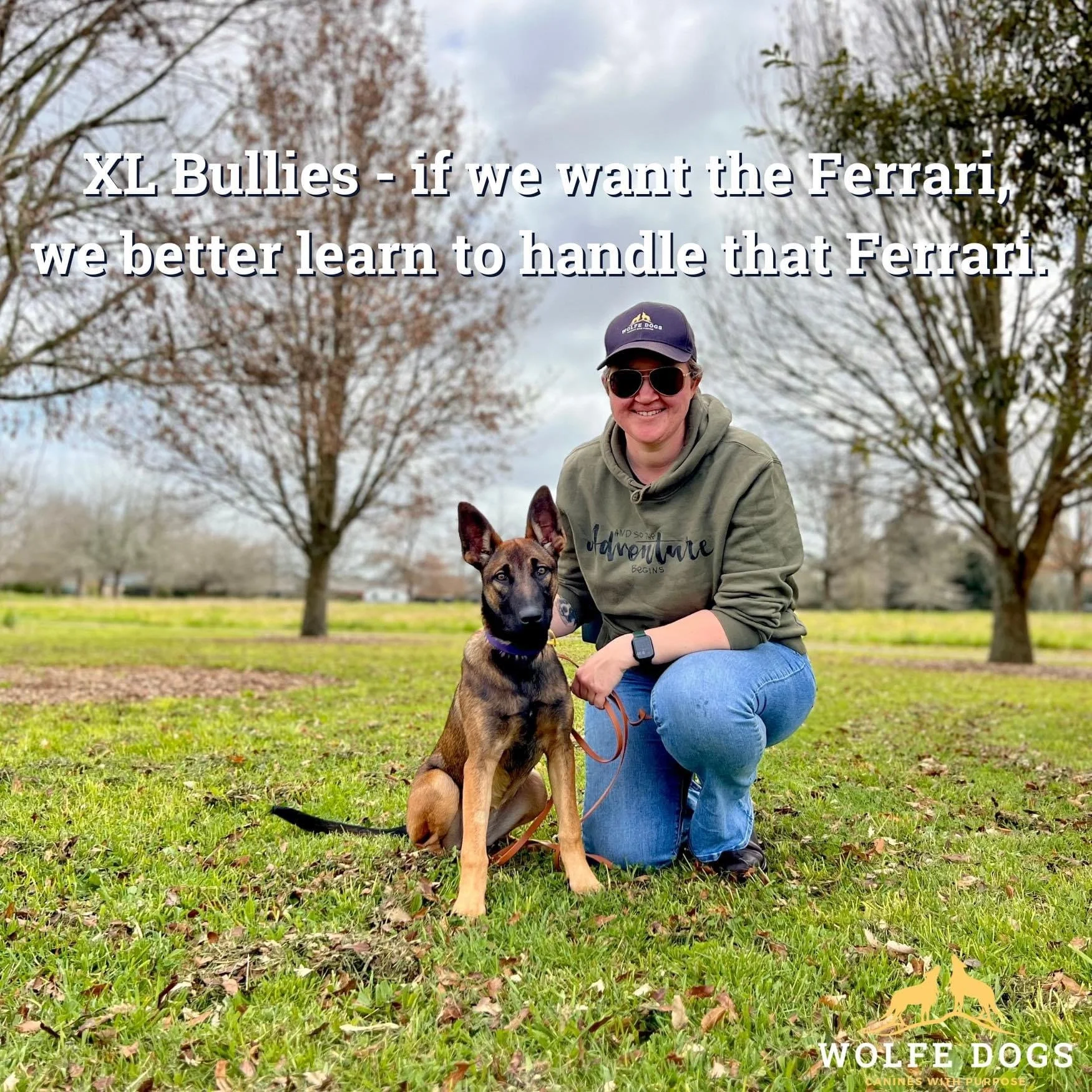 The responsibility of owning high powered dogs