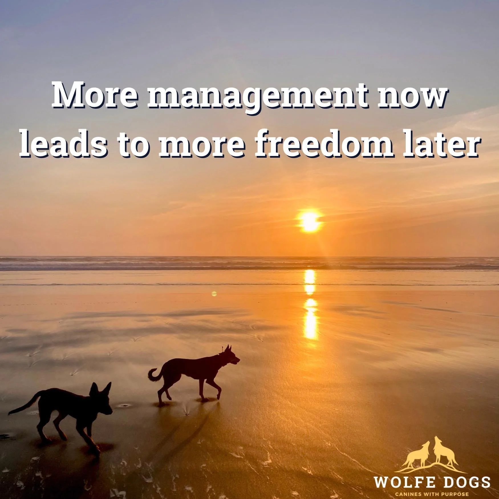 Management leads to freedom