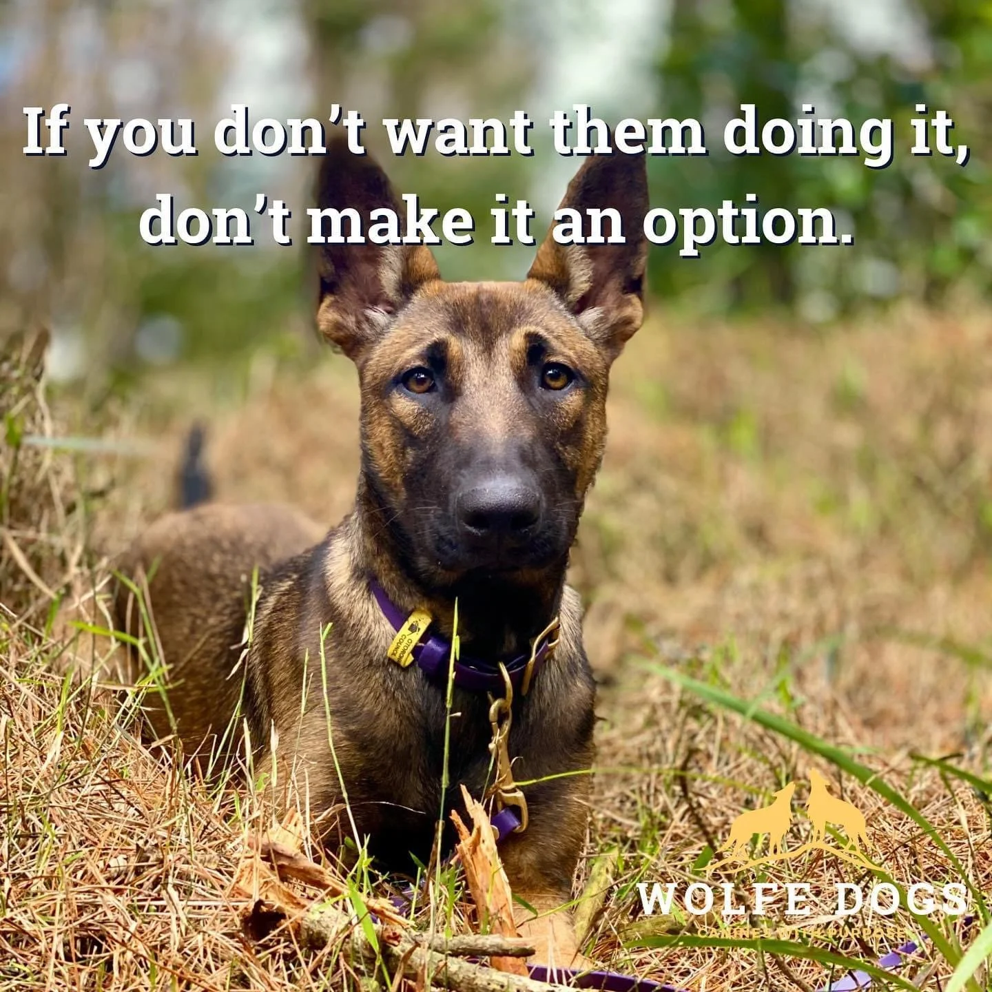 Don’t let it be an option