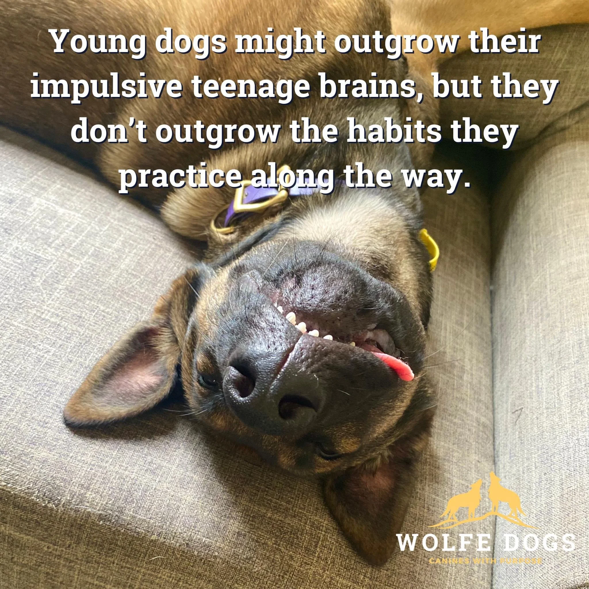 “They’ll grow out of it” - or will they?