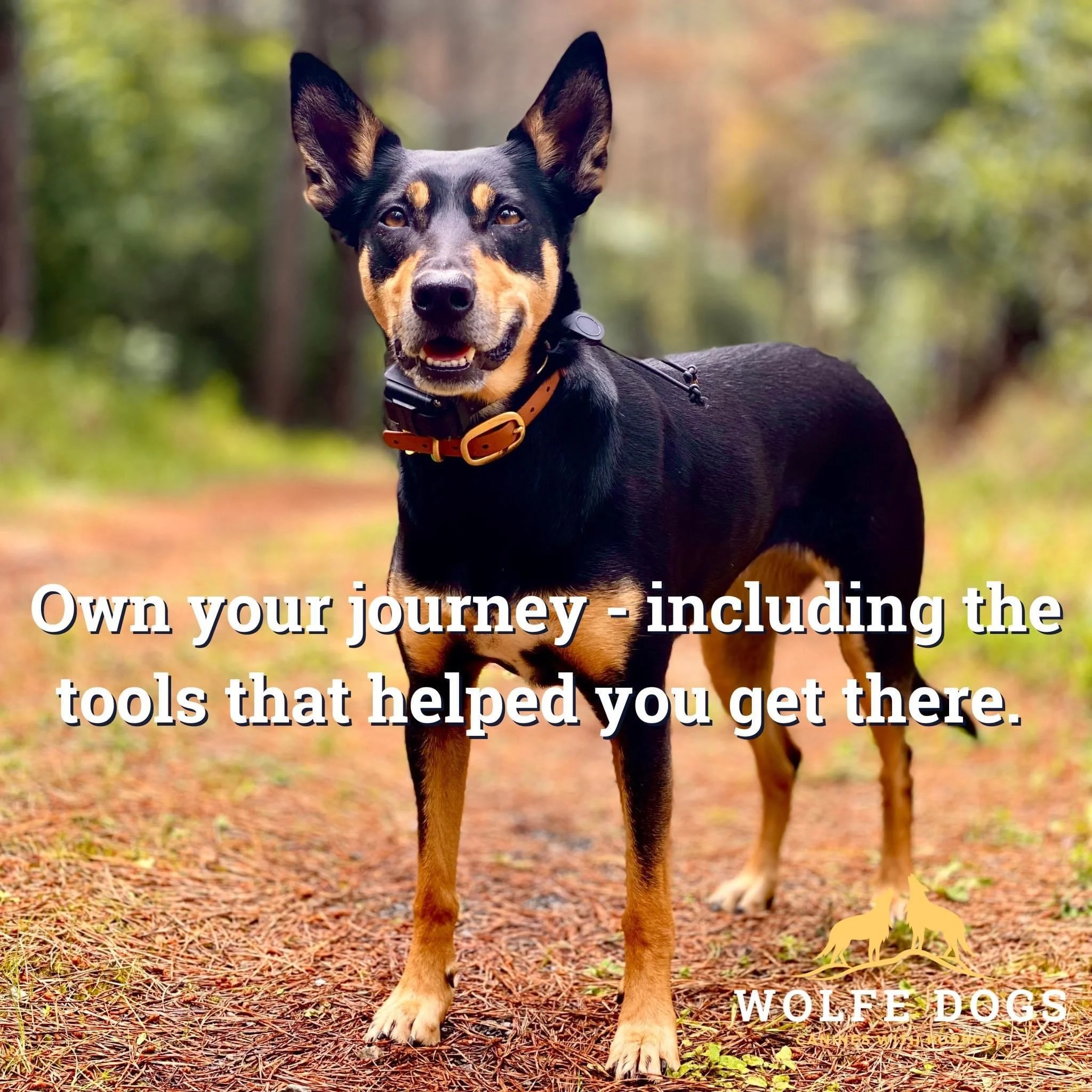 Own your journey - including the tools that helped you get there.