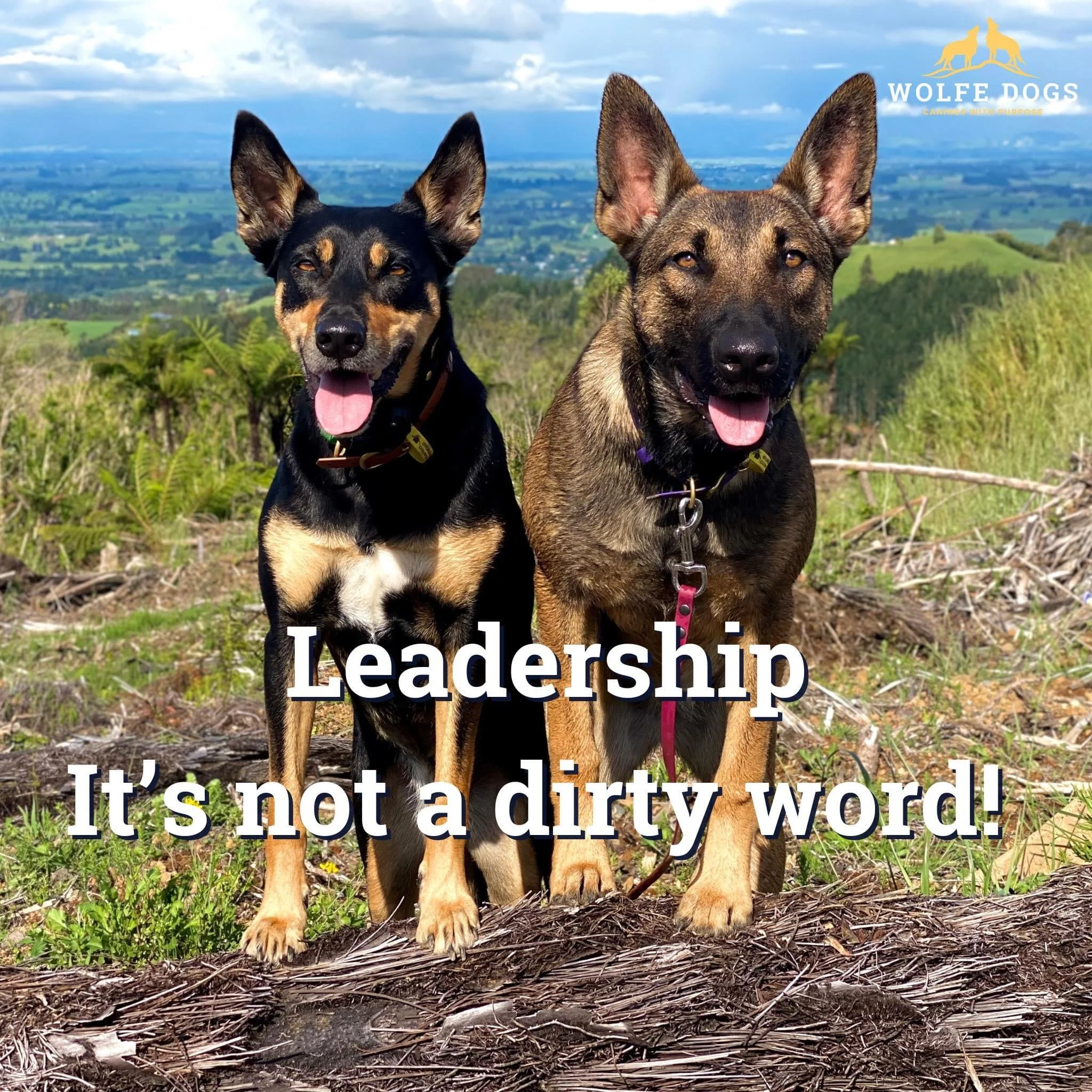 Leadership - It’s not a dirty word!