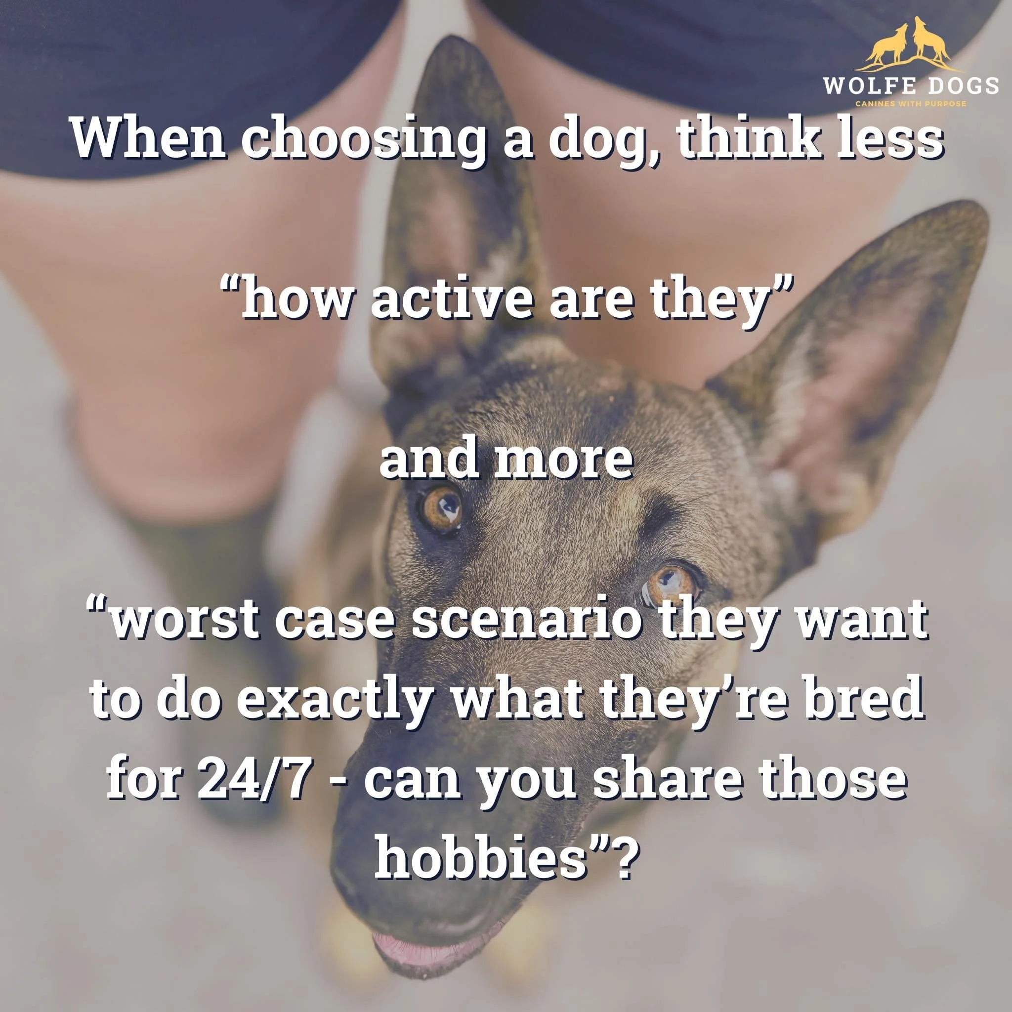 Do we share the same hobbies?