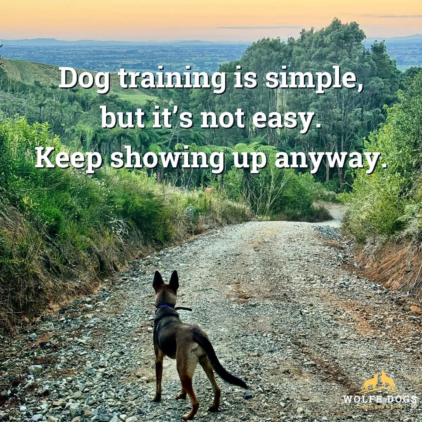 Dog training is simple but it’s not easy
