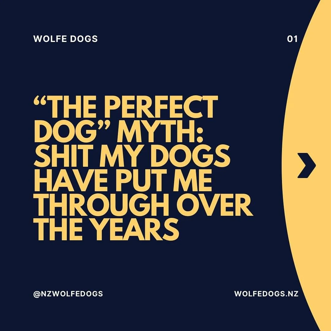 “The Perfect Dog” doesn’t exist