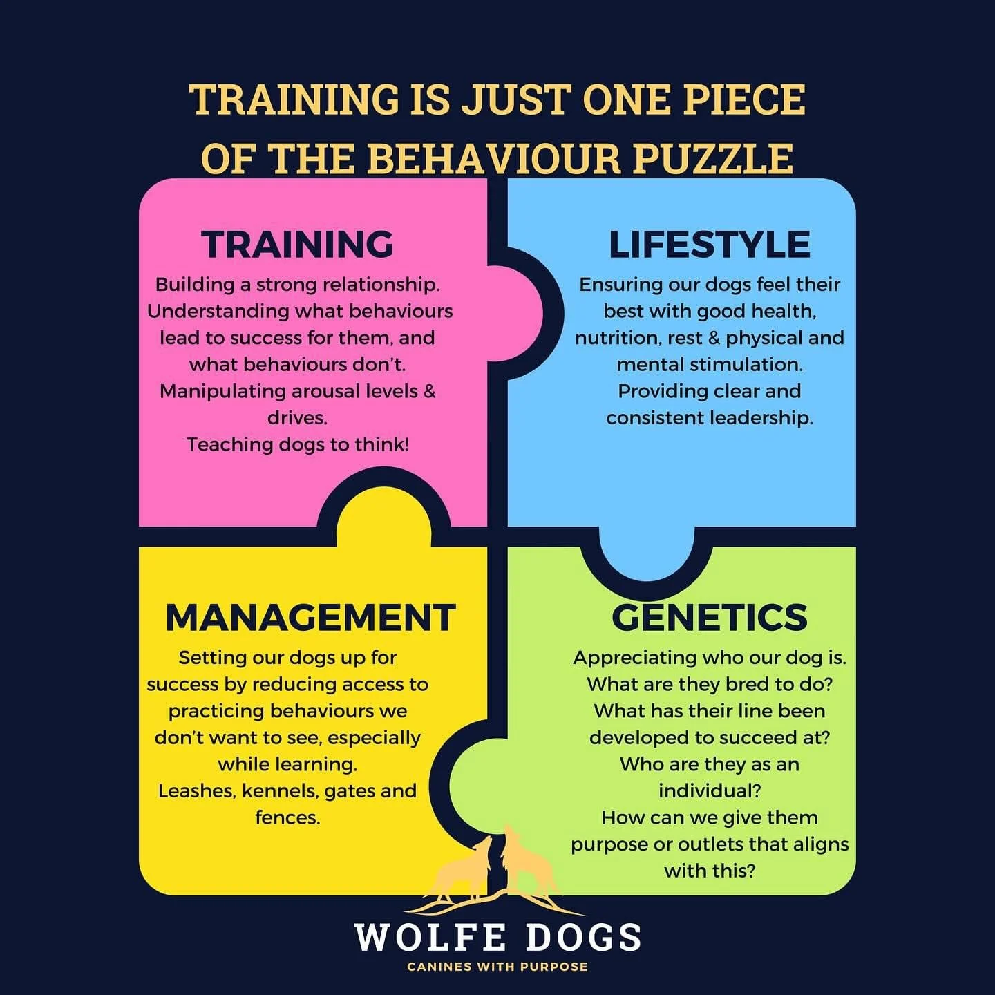 Training is just one piece of the behaviour puzzle