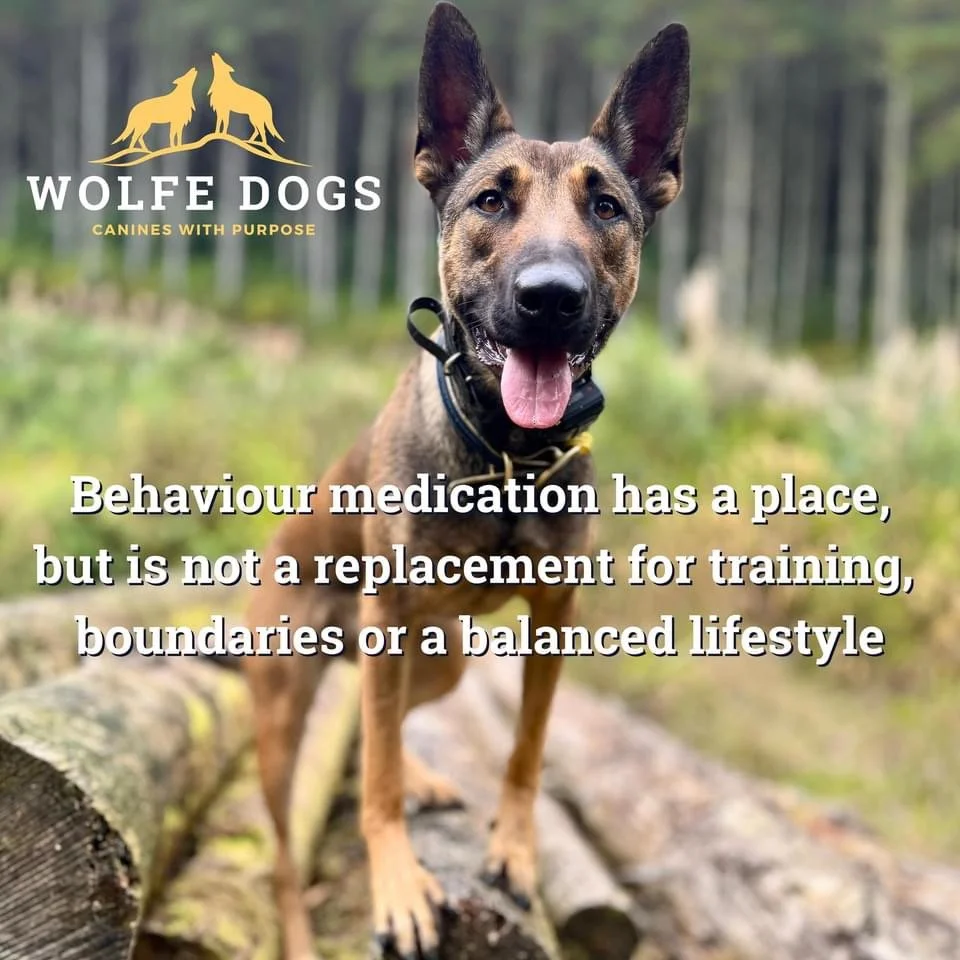 Let’s talk behaviour meds