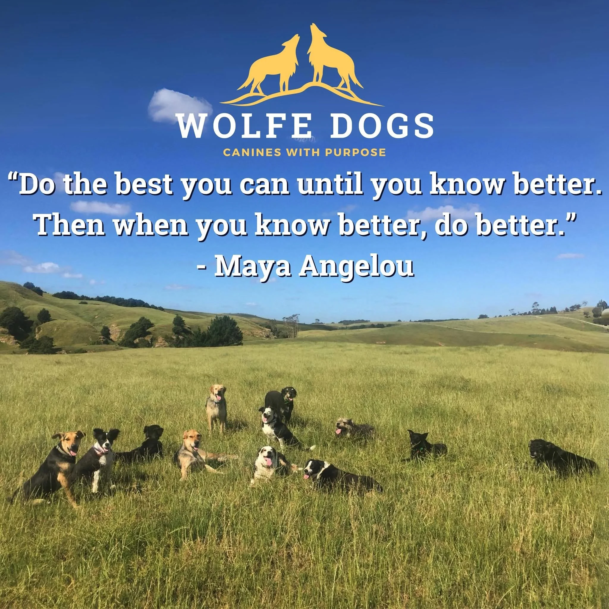 “Do the best you can until you know better. Then when you know better, do better”