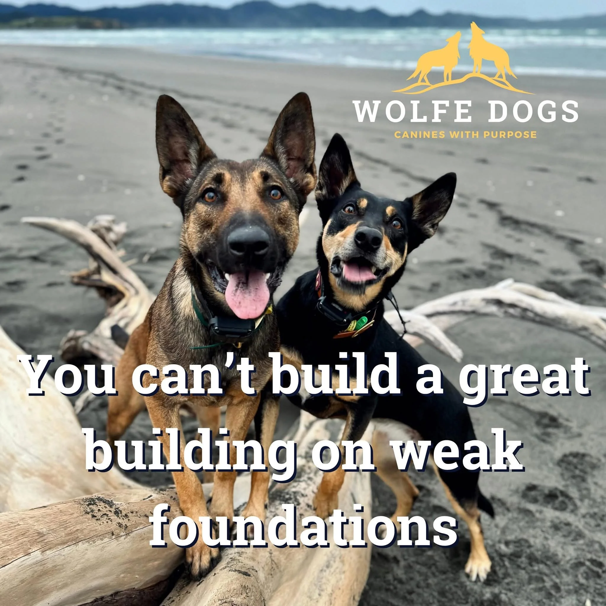 Foundations are everything!