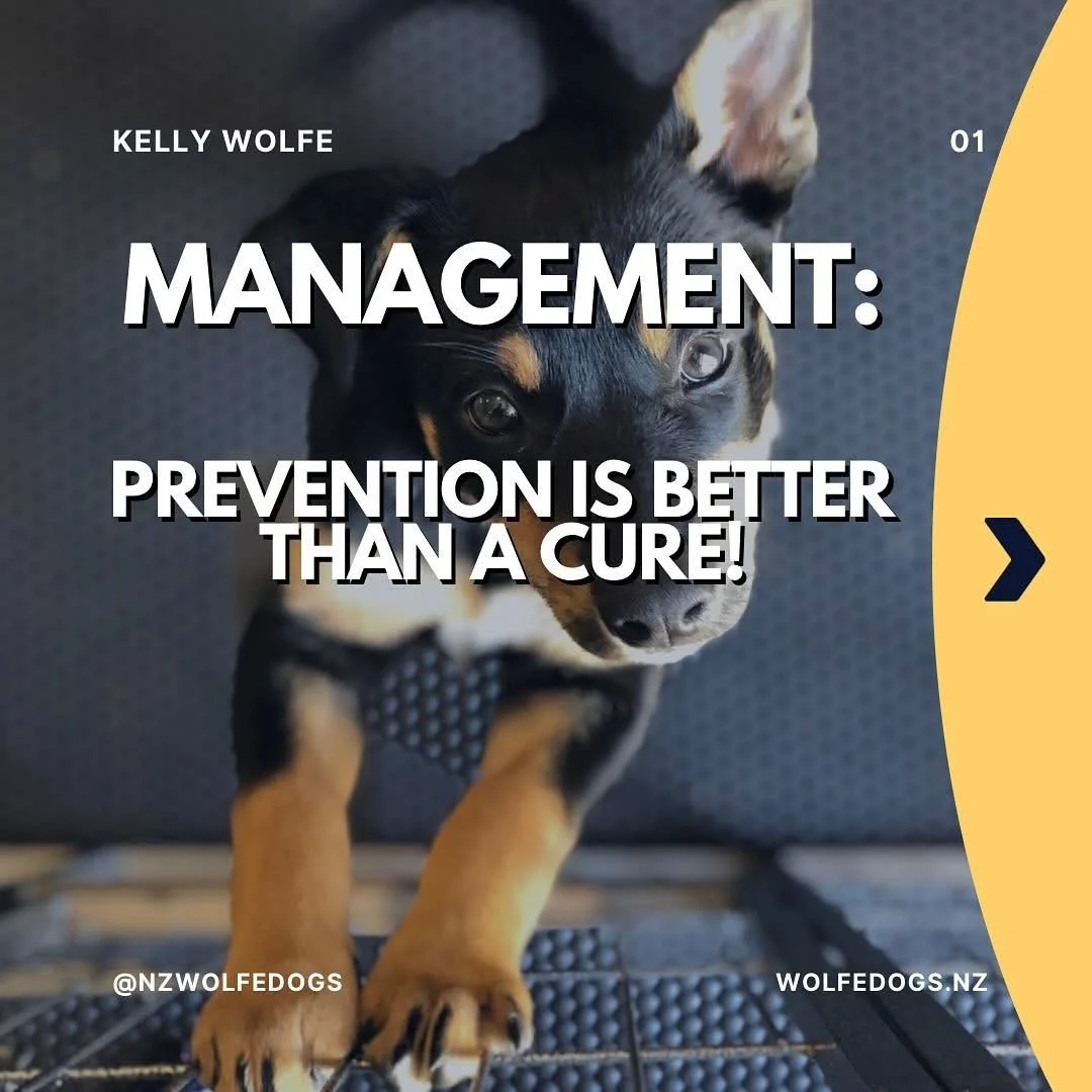 Prevention is better than a cure!