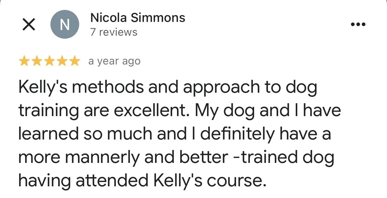 WolfeDogsReviews_1248.jpeg