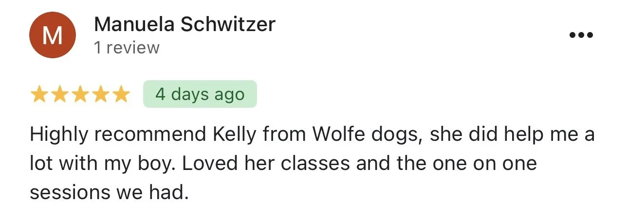 WolfeDogsReviews_1232.jpeg