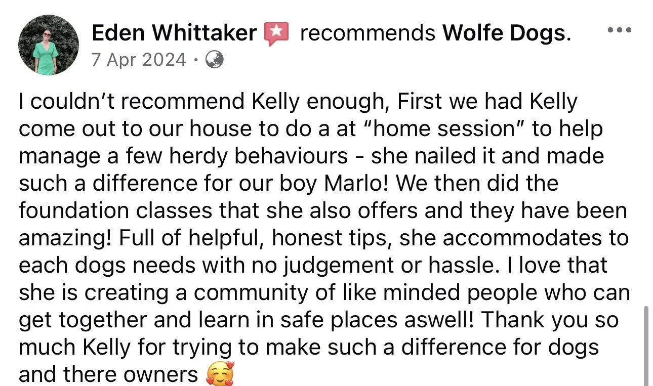WolfeDogsReviews_1264.jpeg