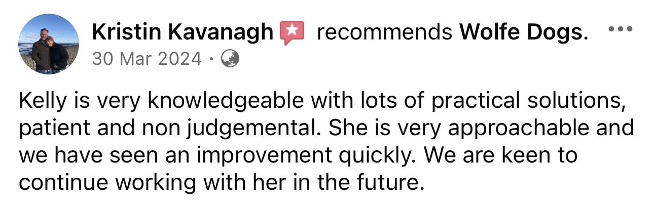 WolfeDogsReviews_1266.jpeg