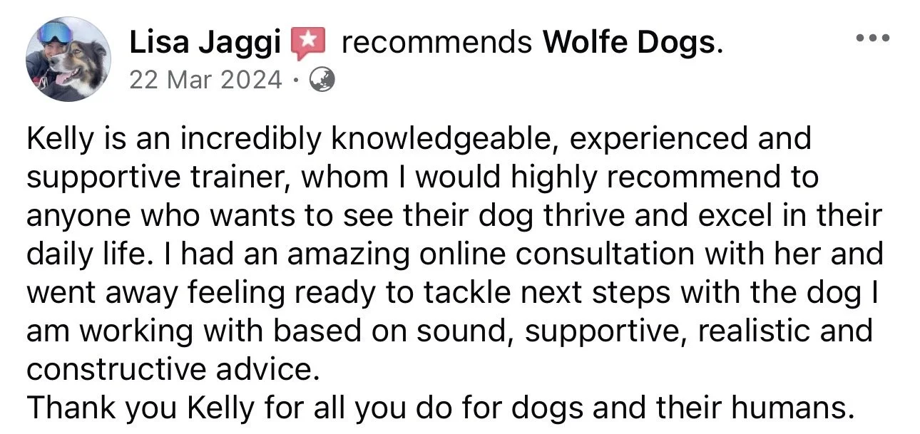 WolfeDogsReviews_1267.jpeg