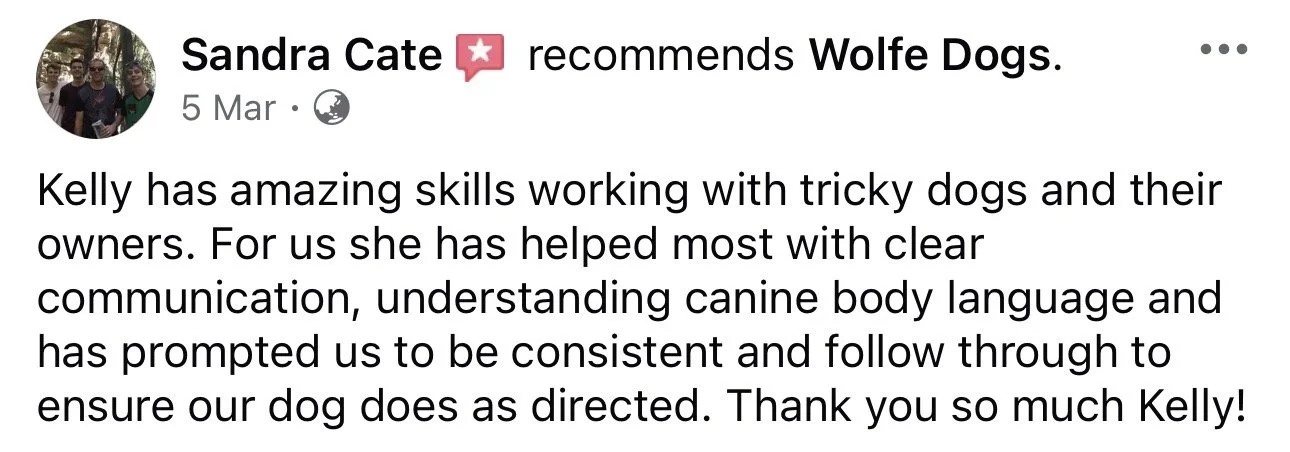 WolfeDogsReviews_1254.jpeg