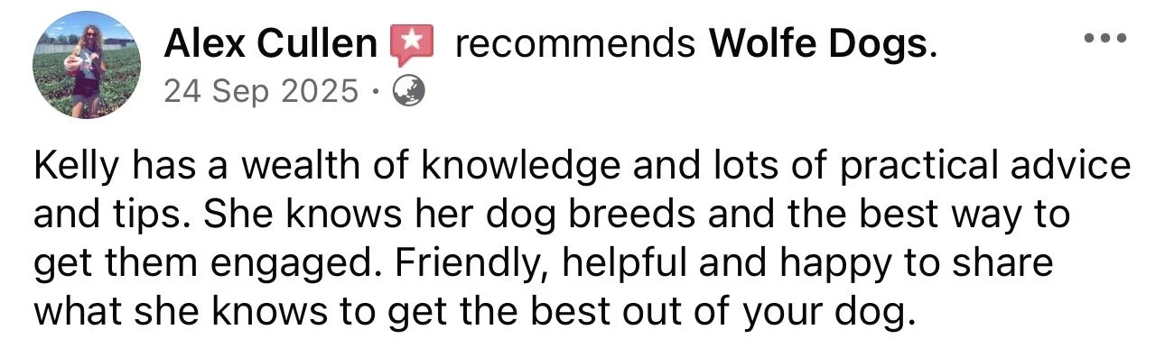 WolfeDogsReviews_1256.jpeg