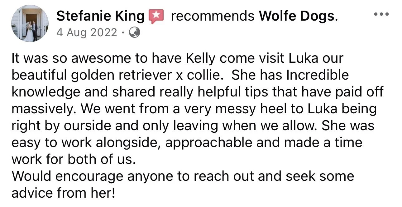 WolfeDogsReviews_1271.jpeg