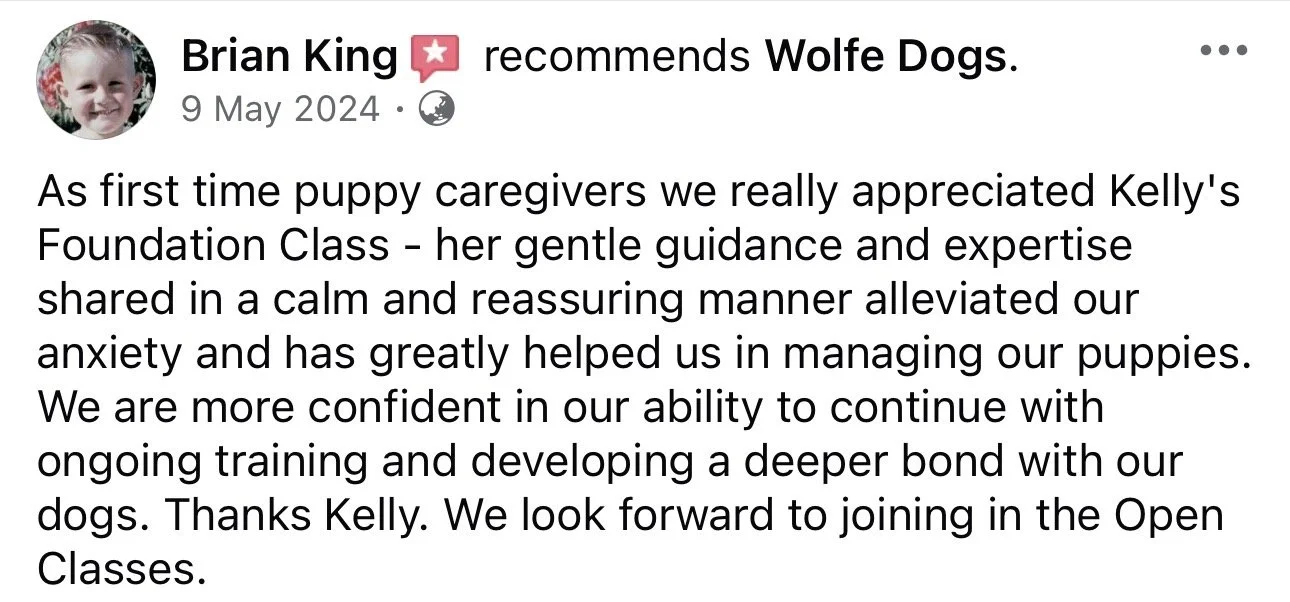 WolfeDogsReviews_1262.jpeg