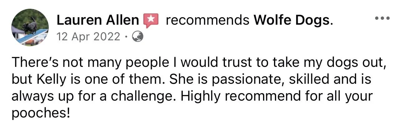 WolfeDogsReviews_1273.jpeg