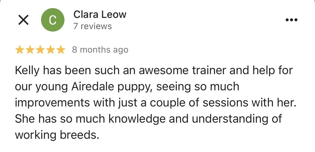 WolfeDogsReviews_1241.jpeg