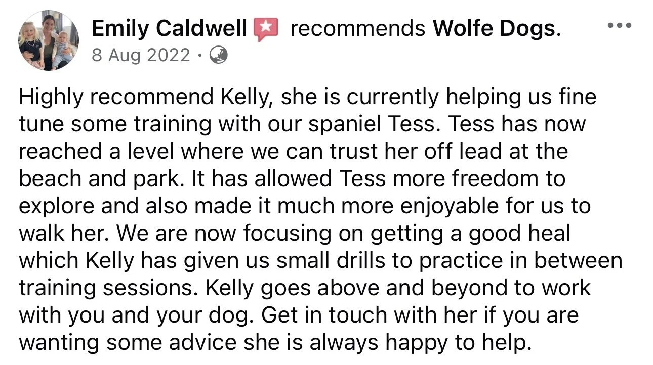 WolfeDogsReviews_1269.jpeg