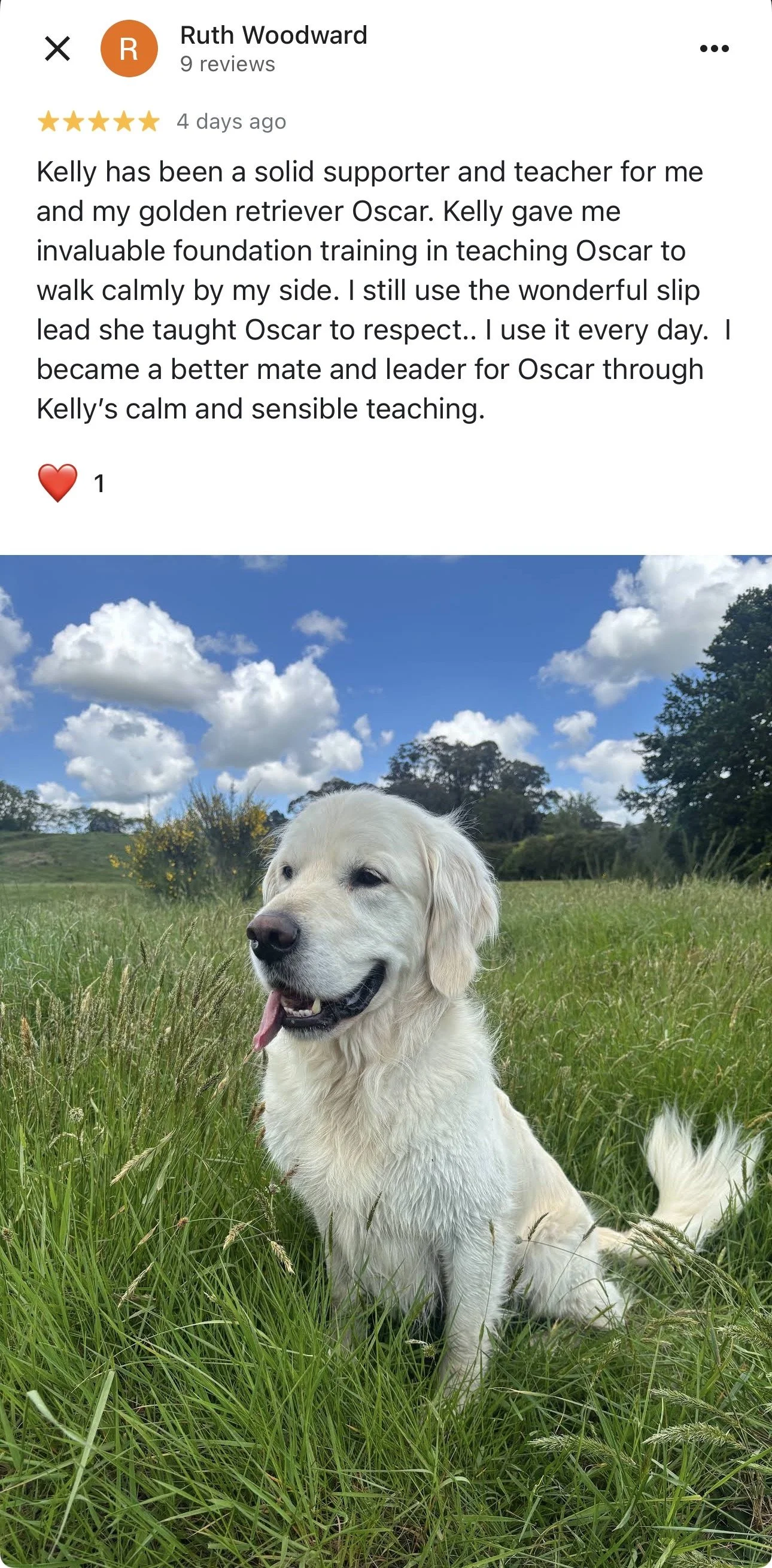 WolfeDogsReviews_1229.jpeg