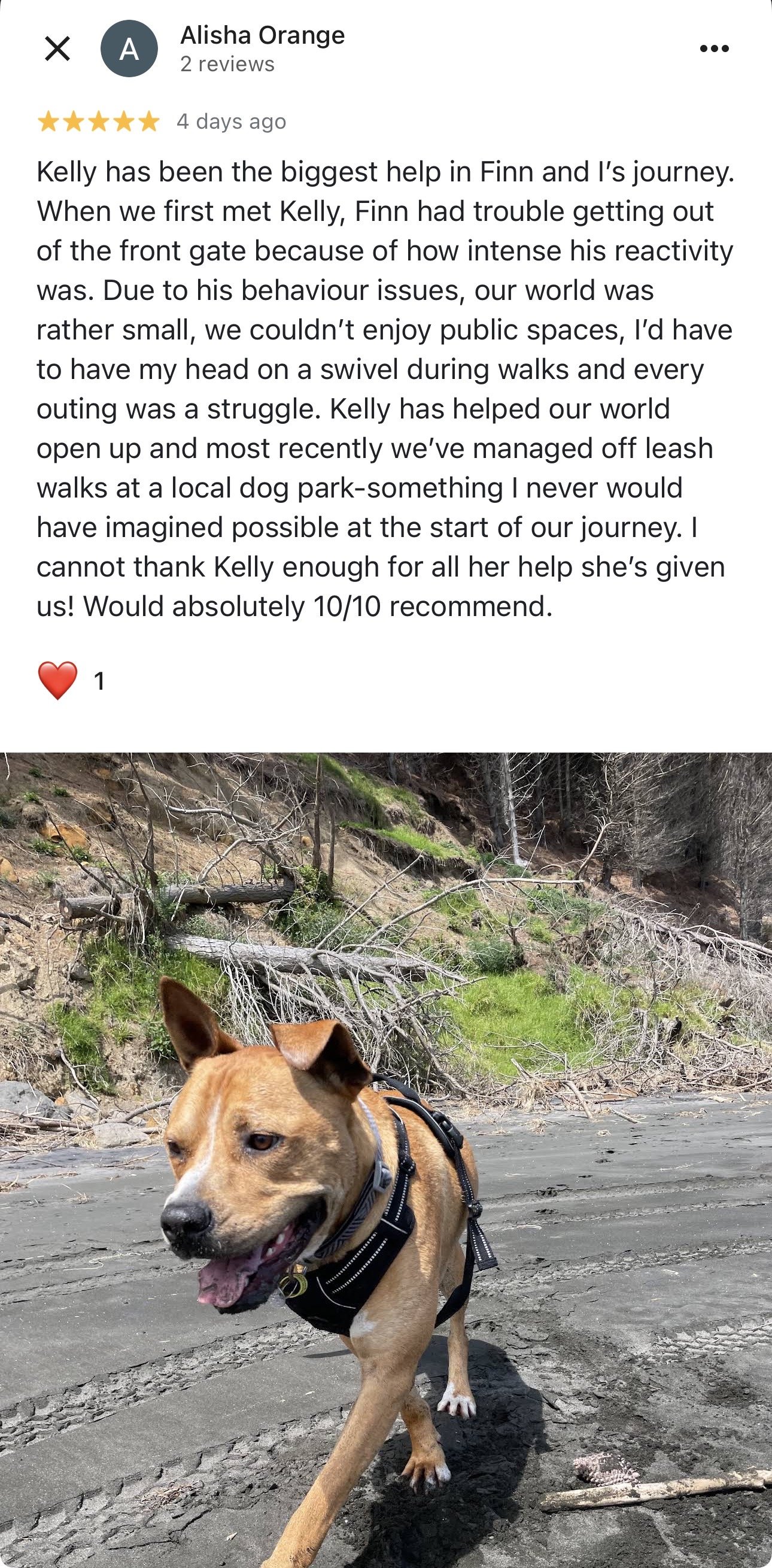 WolfeDogsReviews_1233.jpeg