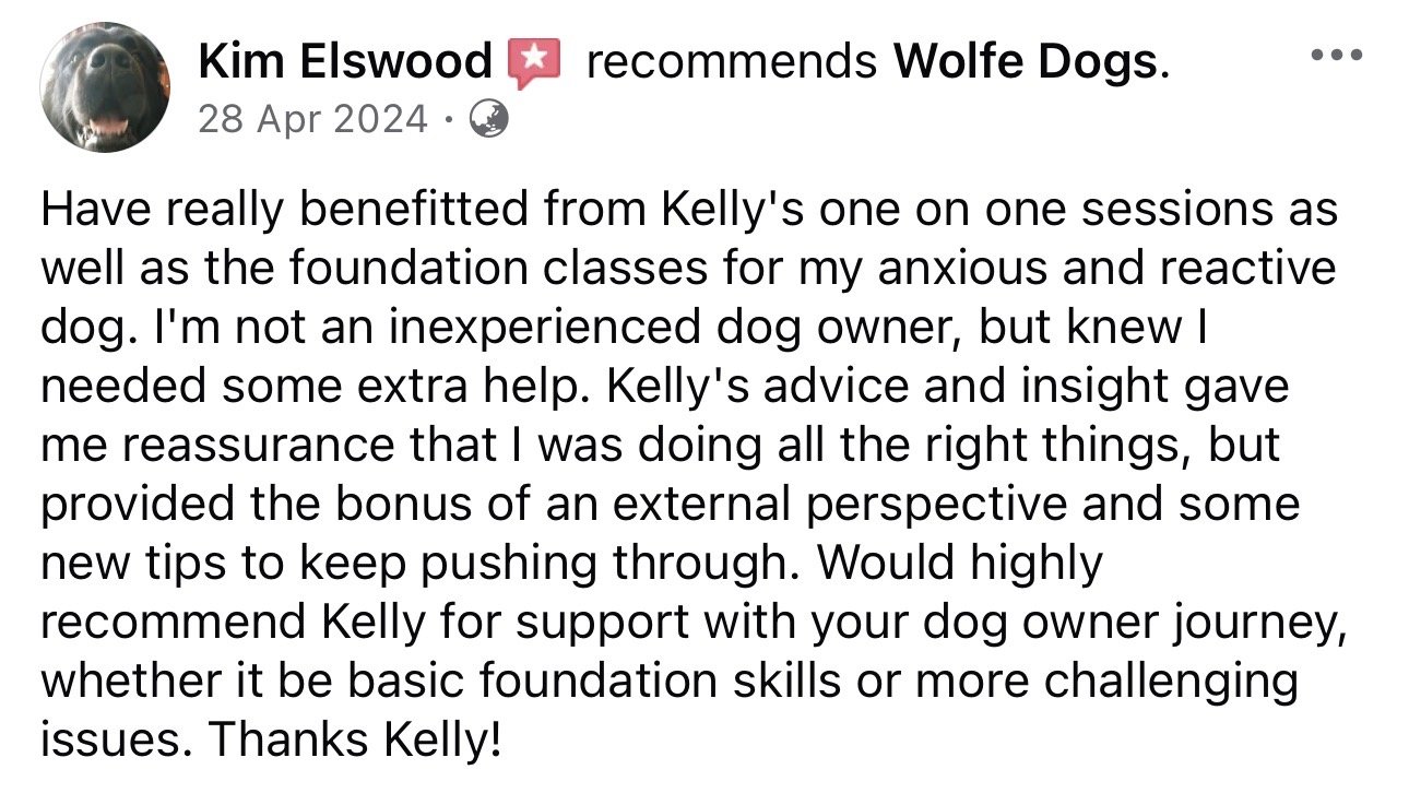 WolfeDogsReviews_1263.jpeg