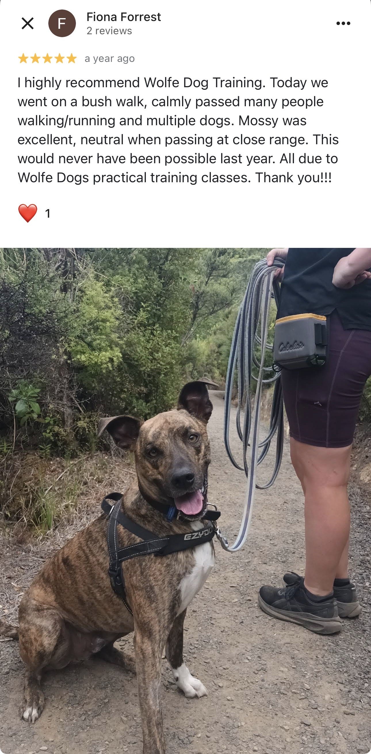 WolfeDogsReviews_1242.jpeg