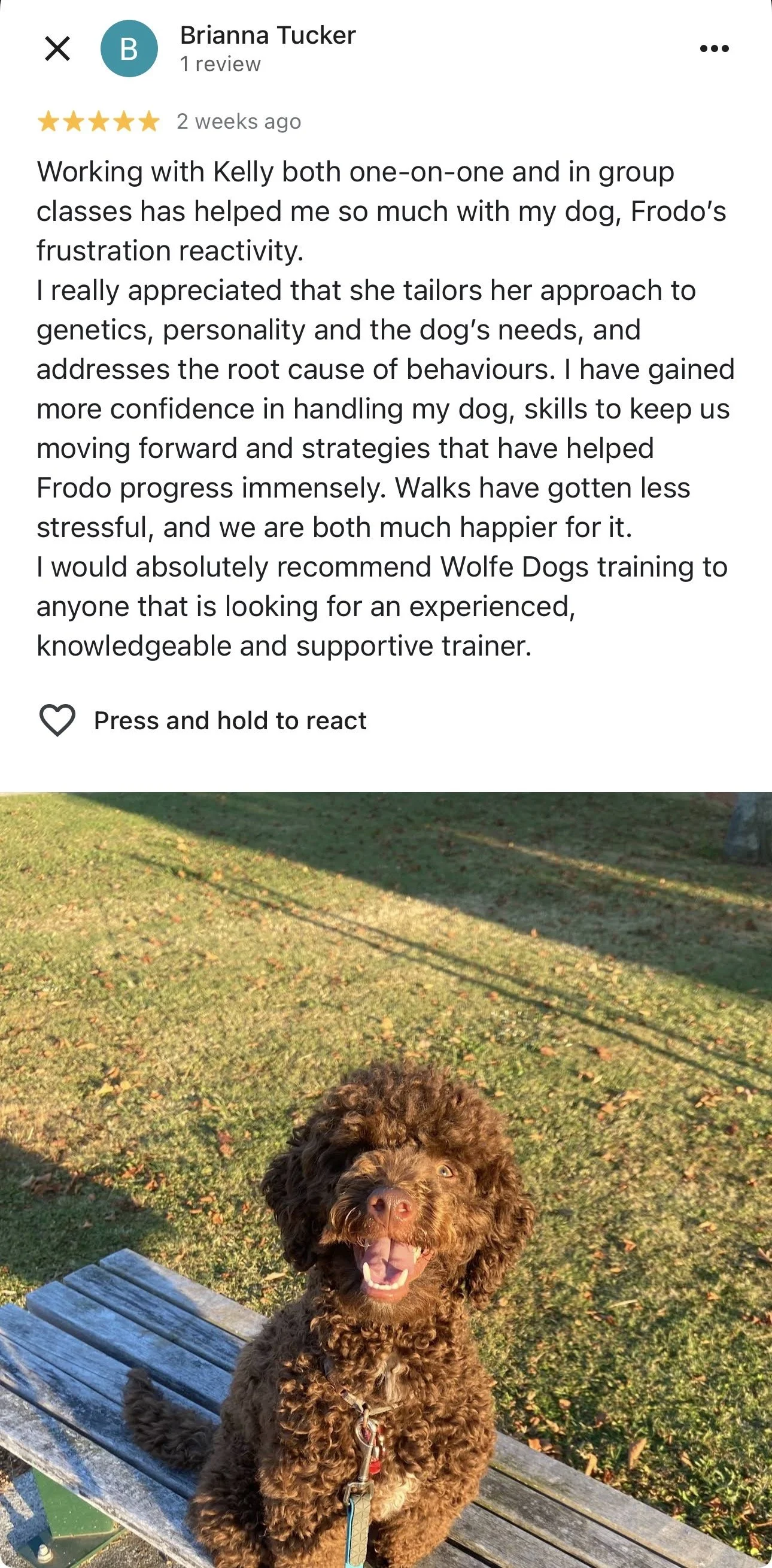 WolfeDogsReviews_1235.jpeg