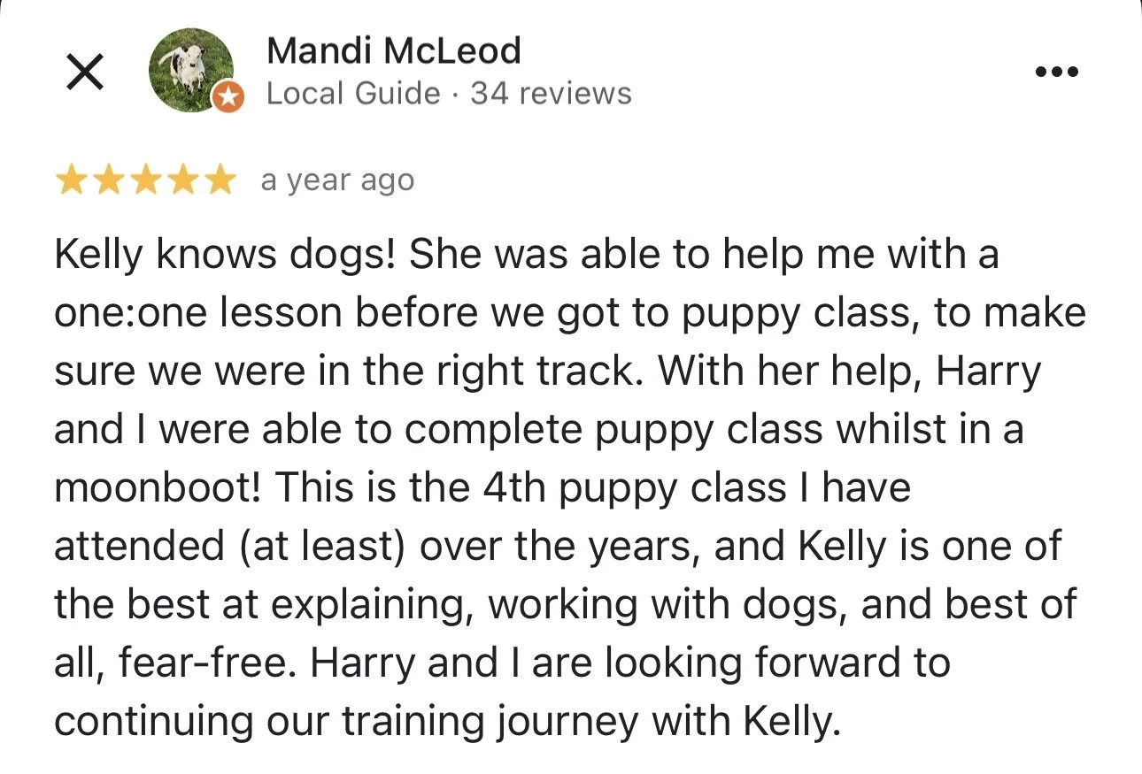 WolfeDogsReviews_1249.jpeg