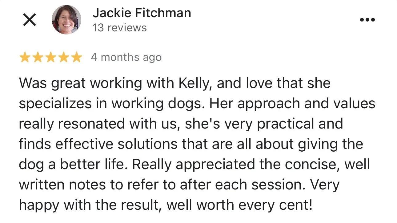 WolfeDogsReviews_1238.jpeg