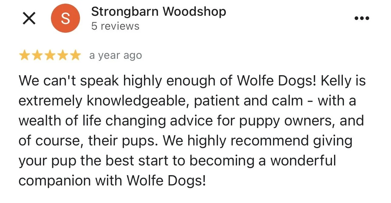 WolfeDogsReviews_1247.jpeg