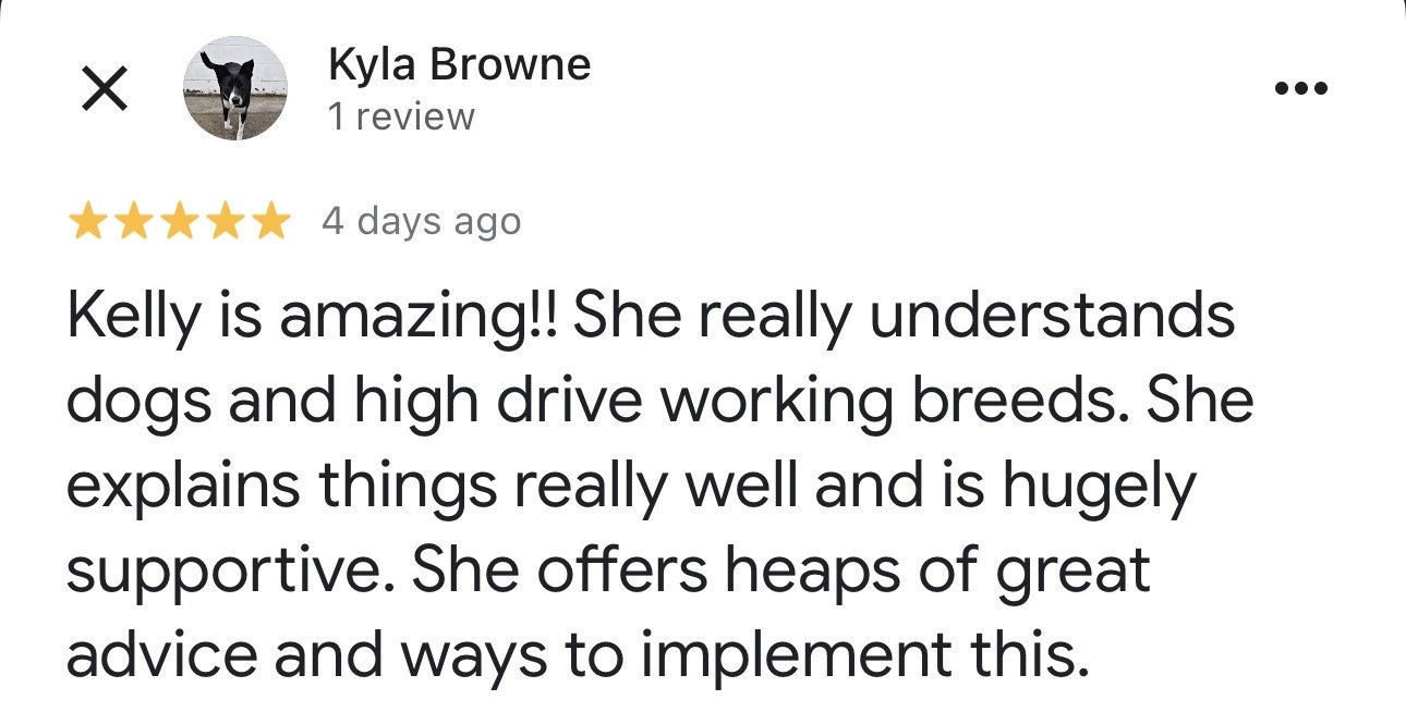 WolfeDogsReviews_1231.jpeg