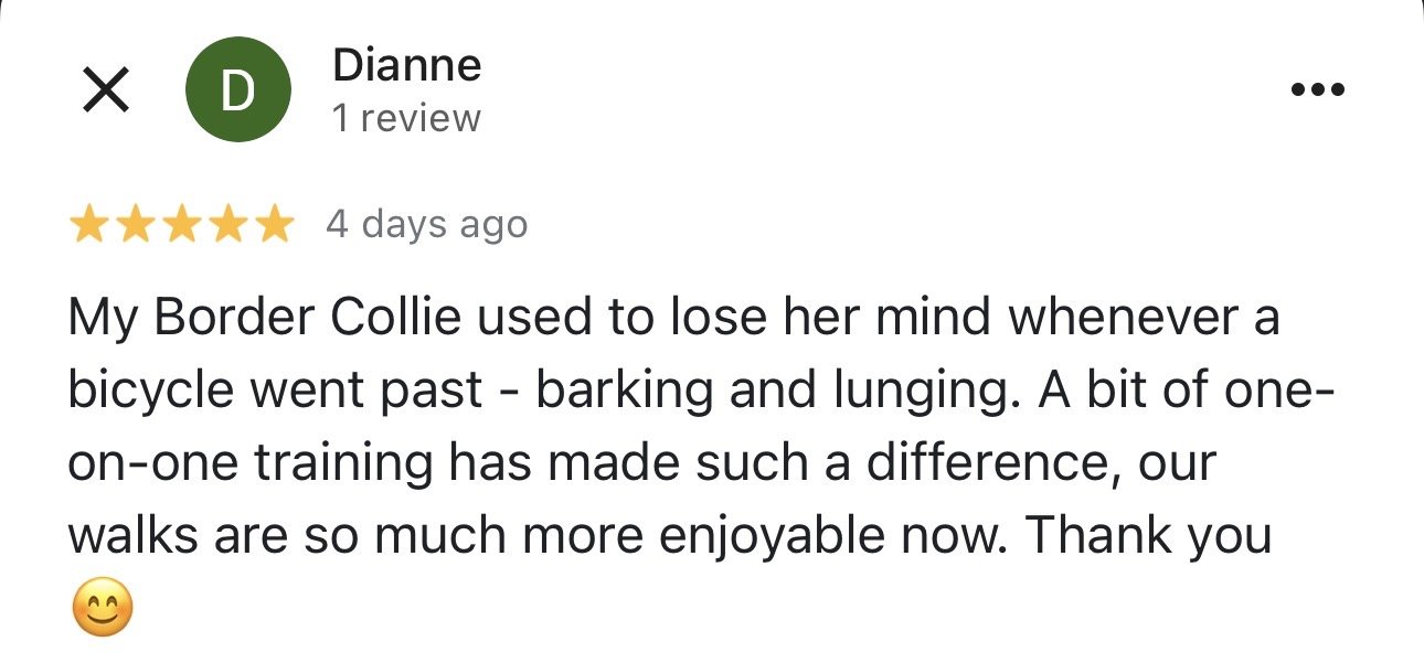 WolfeDogsReviews_1230.jpeg