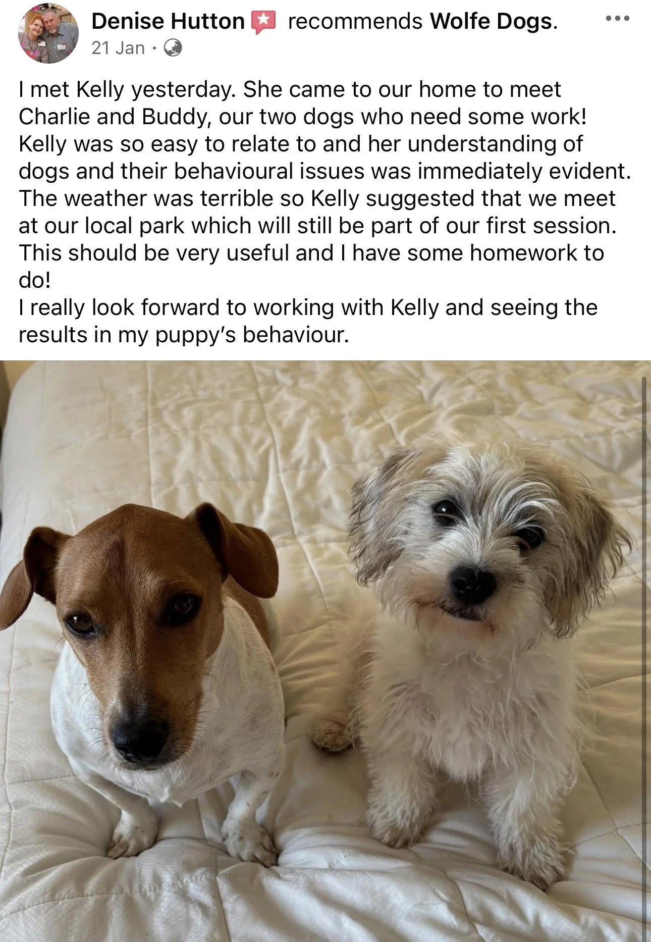 WolfeDogsReviews_1255.jpeg