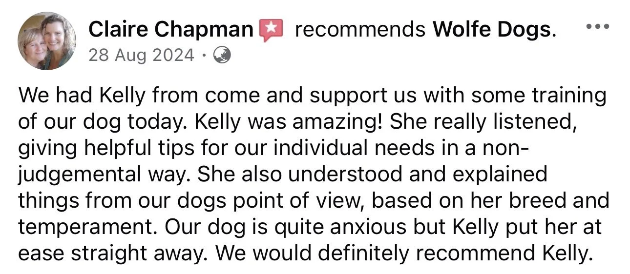 WolfeDogsReviews_1258.jpeg