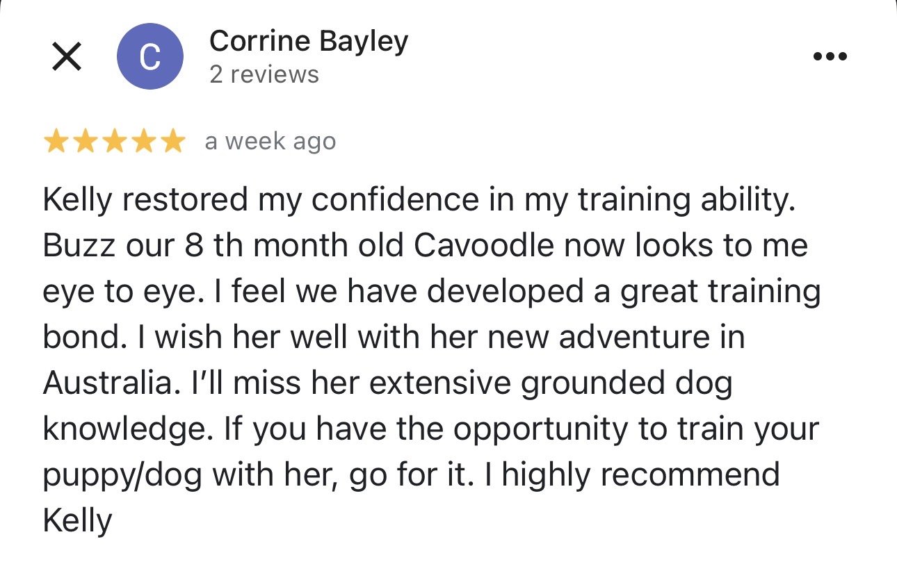 WolfeDogsReviews_1234.jpeg