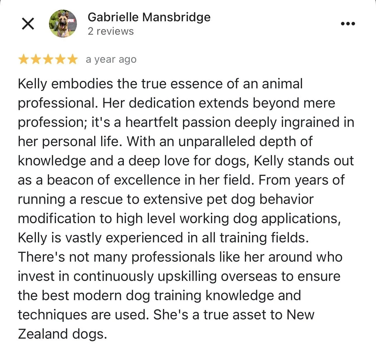 WolfeDogsReviews_1245.jpeg