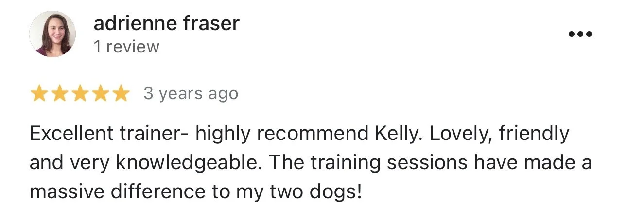WolfeDogsReviews_1252.jpeg