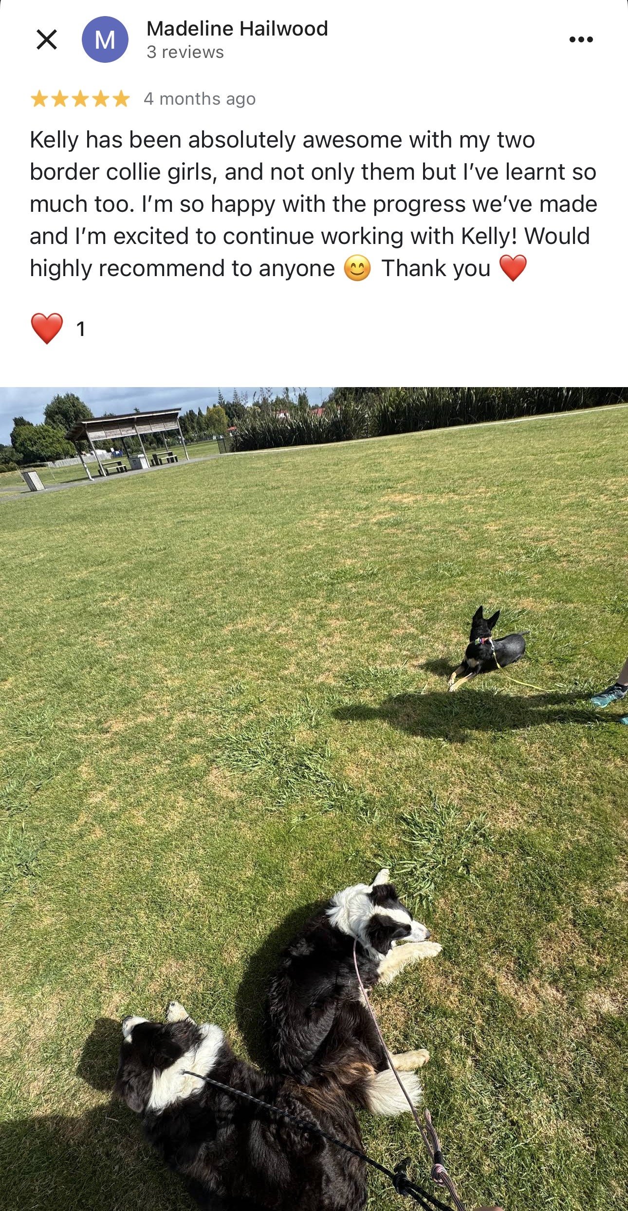 WolfeDogsReviews_1237.jpeg