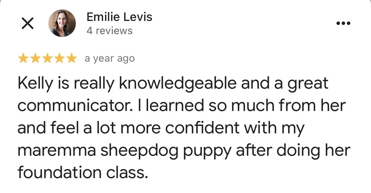 WolfeDogsReviews_1246.jpeg