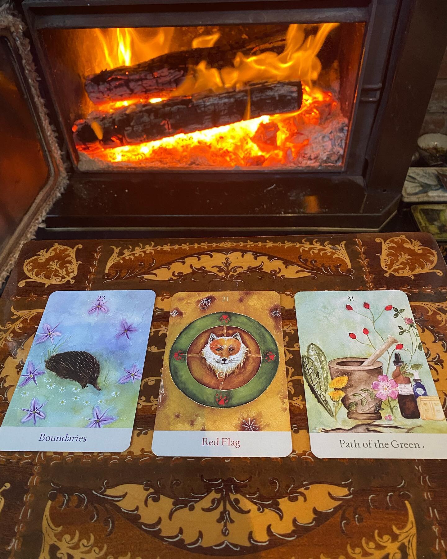 Card reveal.. see meanings below. If you feel drawn to this deck you can get your hands on one at www.sacredskinsandmedicinethings.com